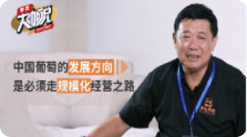 中国通俗的生长偏向 是必需走规；；；；；；；被