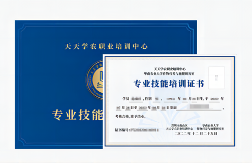 pg电子官网网站专业手艺培训证书