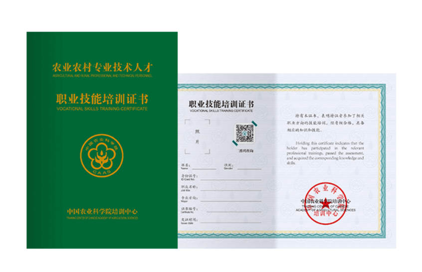 农业农村手艺手艺人才职业手艺证书