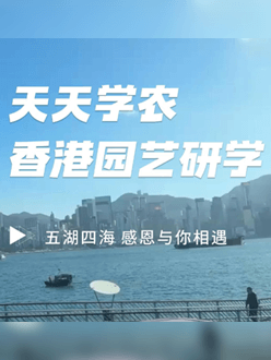 与香港园艺学会团结举行香港园艺研学，，，，，专业园境师带队解说。。。。。。