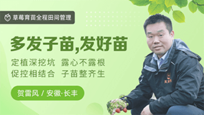 多发子苗，，，，，发好苗